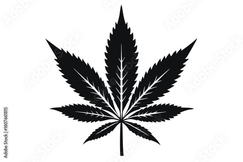 Detailed Silhouette of SevenPointed Cannabis Leaf Featuring Prominent Veins and Serrated Edges