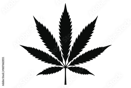 Silhouette of a Cannabis Leaf Black Marijuana Plant with Seven Lobes