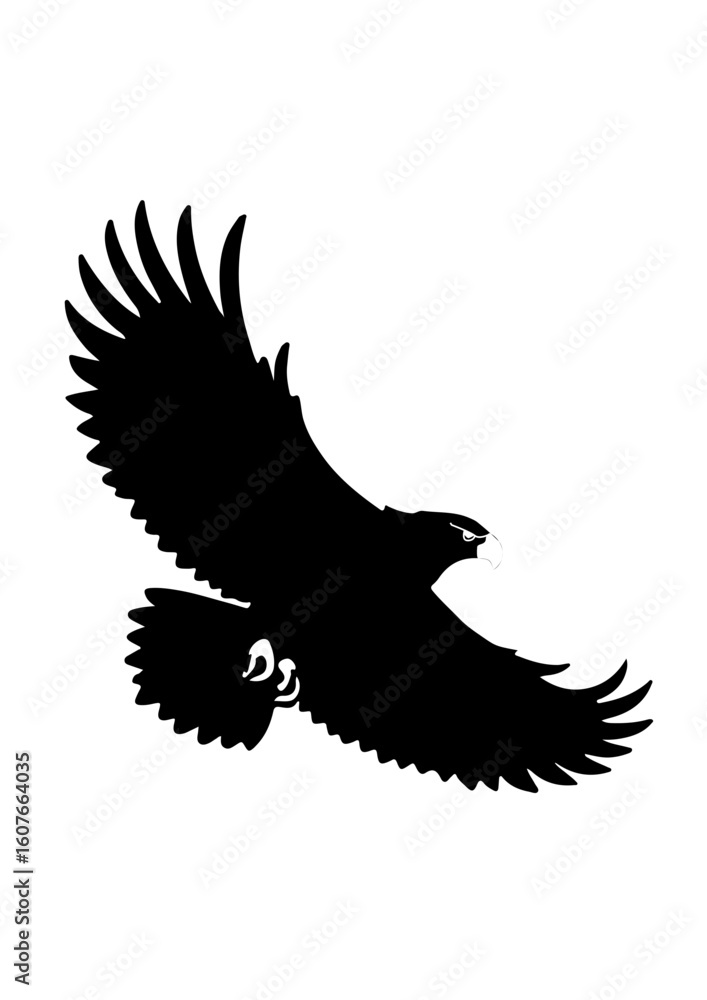 Fototapeta premium Silhouette of a Soaring Eagle