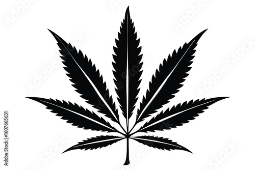 Isolated Black Silhouette of a Cannabis Leaf with Serrated Edges and Veins