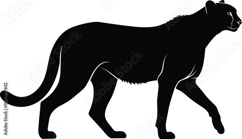 Wallpaper Mural Vector silhouette of walking panther in black, graceful big cat illustration showing tail, legs, and wild animal posture design Torontodigital.ca