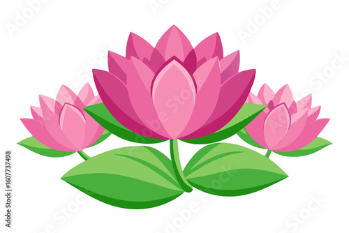 Beautiful pink lotus flower vector illustration, water lily floral design element, nature art, bloom, blossom, plant, zen
