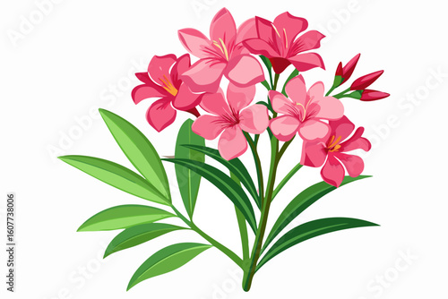 Beautiful pink oleander flower illustration, tropical plant with green leaves and petals design element