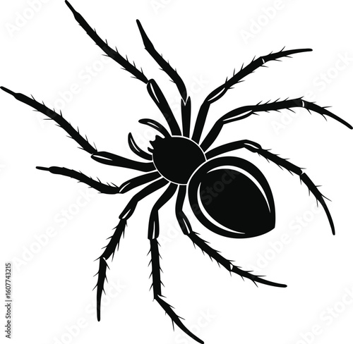 Black Spider Vector