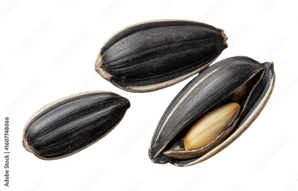 custom made wallpaper toronto digitalClose-up of three sunflower seeds, two whole and one cracked open, revealing the seed inside.  Dark,  ridged shells contrast with the pale yellow interior