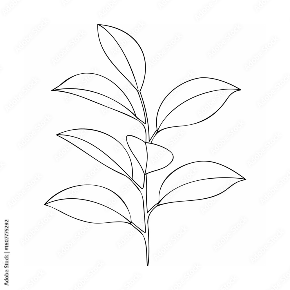Obraz premium Minimalist line art botanical plant branch leaves outline