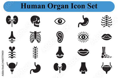 Human organ icons set medical anatomy symbols human organs