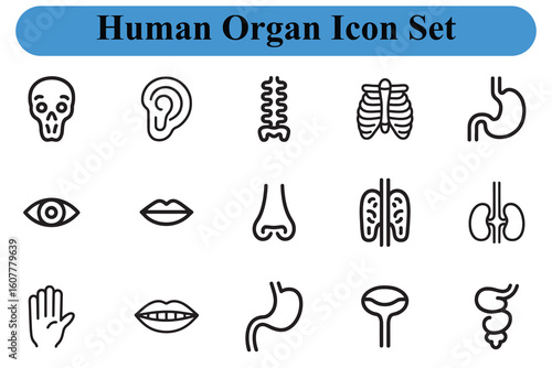 Human organ icons medical anatomy illustration skull spine