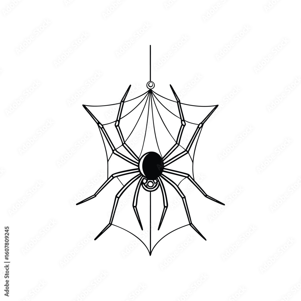 Fototapeta premium black spider isolated on white background