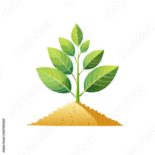 Plant Growth Icon Isolated ...