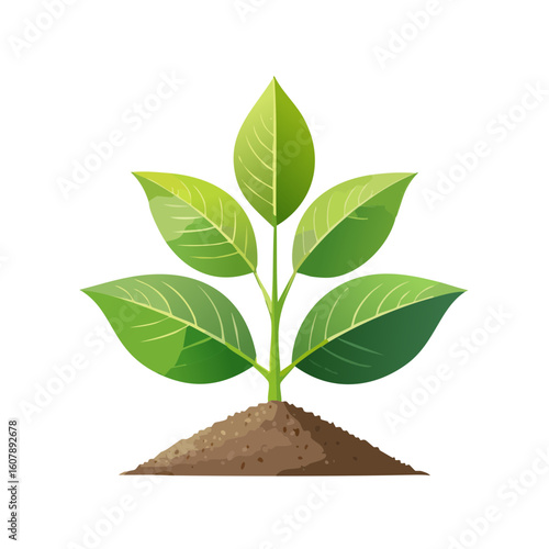Plant Growth Icon Isolated ...