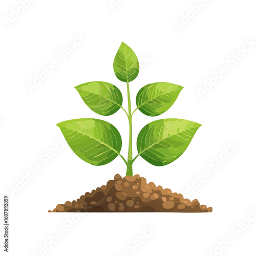 Plant Growth Icon Isolated ...