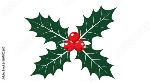 Vector art of a festive arrangement of vibrant green holly leaves with bright red berries, symbolizing the joy of the christmas season, isolated on a clean white background