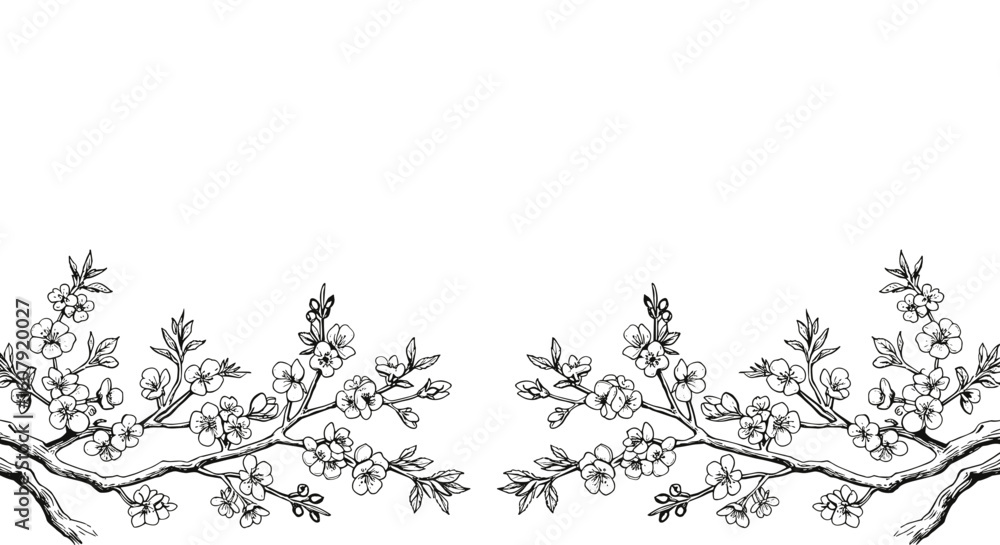 Fototapeta premium Cherry blossom tree branches border at the bottom — delicate Japanese engraving decorative element for invitations, cards and banners.