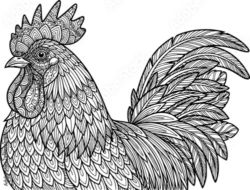 Vector Rooster, zentangle domestic farmer Bird for adult Coloring