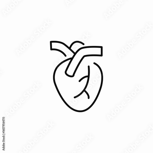 heart organ icon sign vector