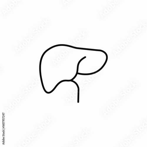 liver organ icon sign vector