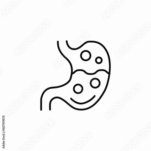 stomach function icon sign vector
