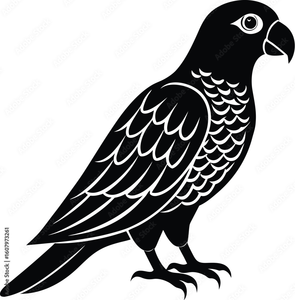 Fototapeta premium vector illustration of a bird