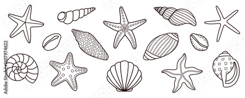 Hand drawn black and white outline set illustrations of seashells and starfish. For kids coloring pages, printables, educational materials, scrapbooking, summer, tropical, sea, ocean, vacation design.