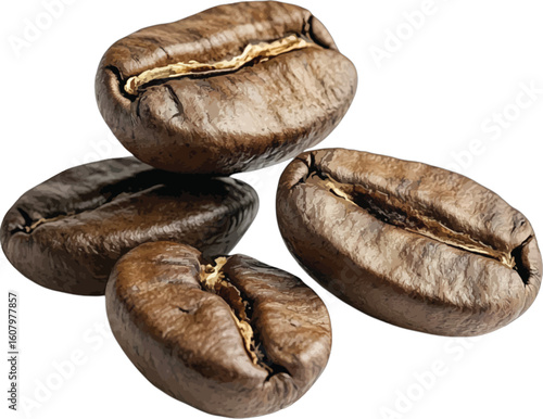 Group of roasted coffee beans brown dark