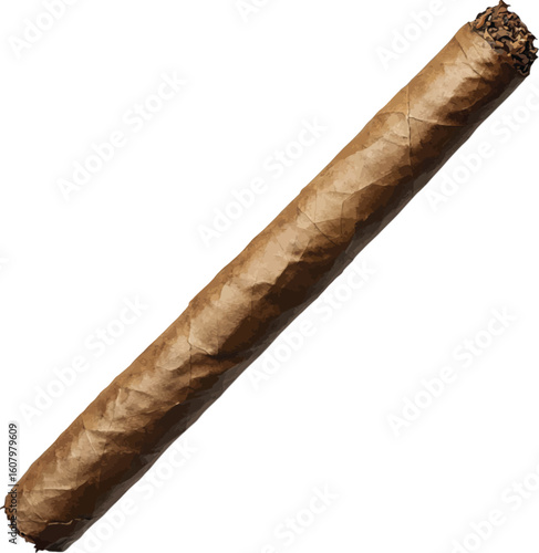 Premium cigar tobacco leaf wrapper brown