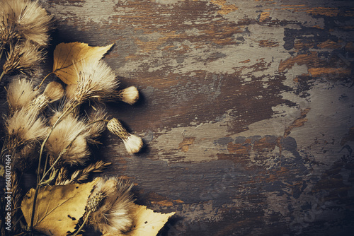 Autumn background of dried flowers and leaves. Autumn, fall concept.