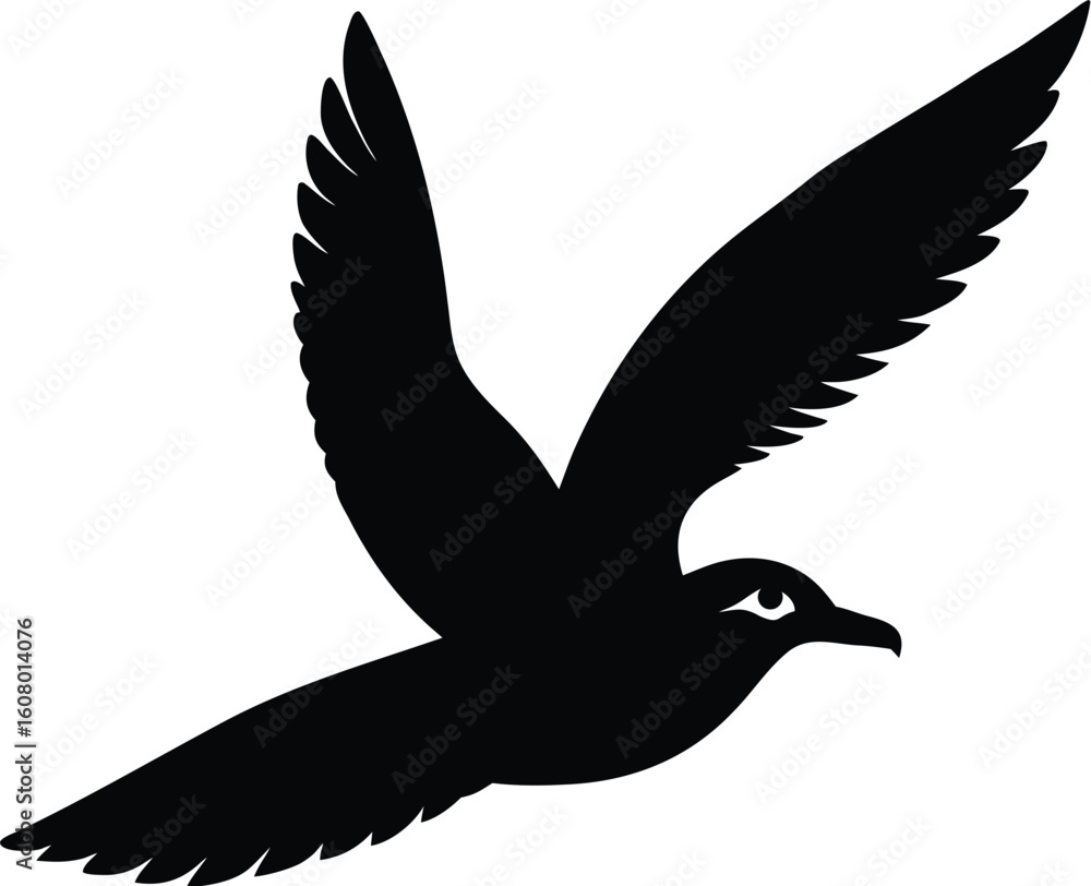 Obraz premium dove isolated on white background