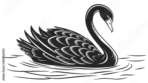 A black swan with detailed feathers gracefully swimming on the water with gentle ripples around it