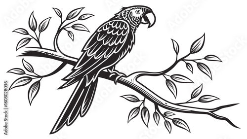 Detailed black and white drawing of a parrot perched on a branch with leaves in a simple style