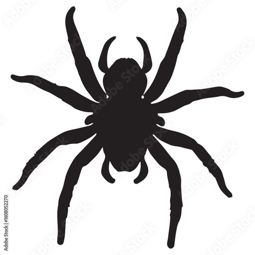 A black spider silhouette is isolated on white background, its eight legs spread wide, creating a creepy and graphic design for halloween