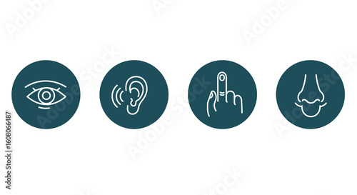 Set of four minimalist line art icons representing human sensory organs: eye, ear, hand, and nose.
