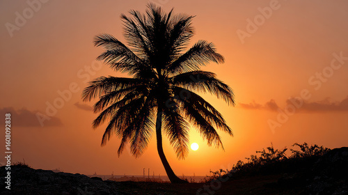 Silhouette of isolated coconut palm tree at sunset creates serene tropical scene