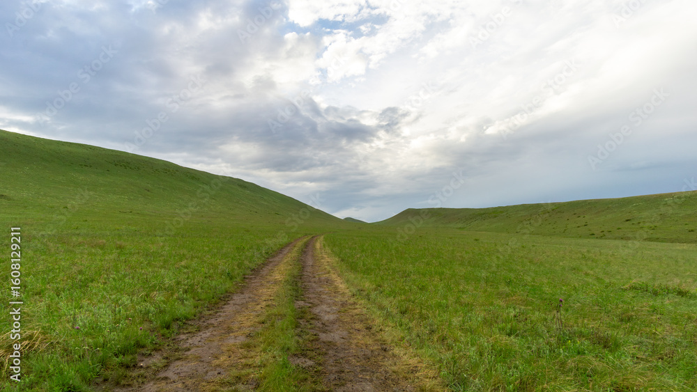 Fototapeta premium Scenic rural landscape featuring a winding dirt path through lush green grasslands under a dramatic sky with clouds, inviting exploration and connection to nature's beauty