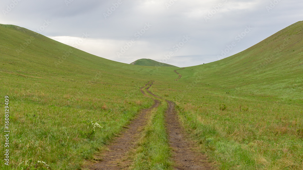 Fototapeta premium Winding dirt path through lush green hills under a cloudy sky, inviting exploration and adventure in a serene natural landscape with rolling terrain and vibrant grass