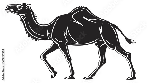 Silhouette of a camel walking with one hump and a short tail in a side profile view on a white background
