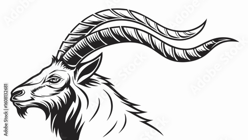 Detailed monochrome illustration of an ibex head with prominent curved horns and focused gaze design
