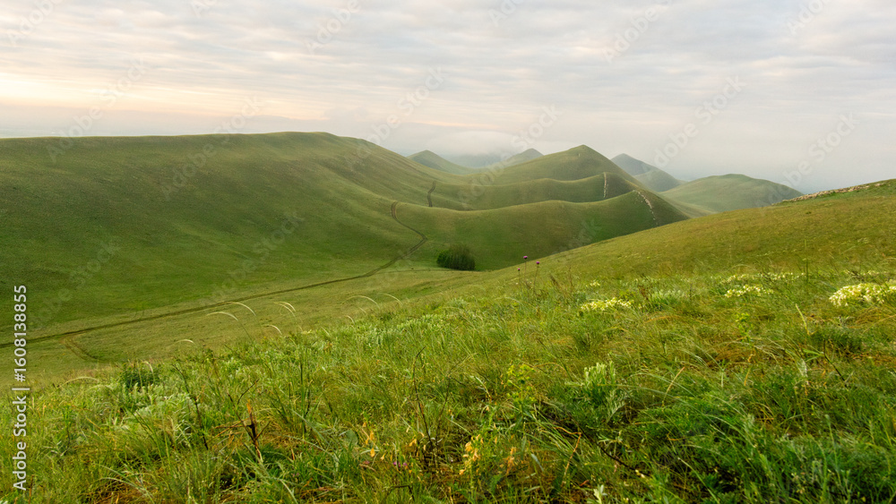 Fototapeta premium Lush green hills stretch across the landscape under a soft cloudy sky, showcasing the beauty of nature and the tranquility of the countryside in a serene environment