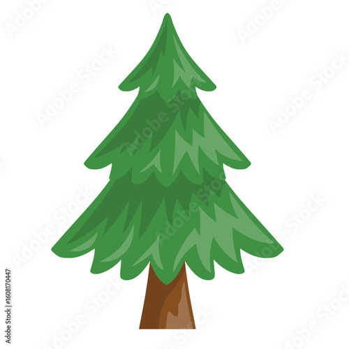 Evergreen pine or spruce tree vector for nature illustration