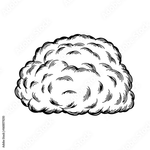 Detailed Black and White Illustration of a Fluffy Cloud Formation