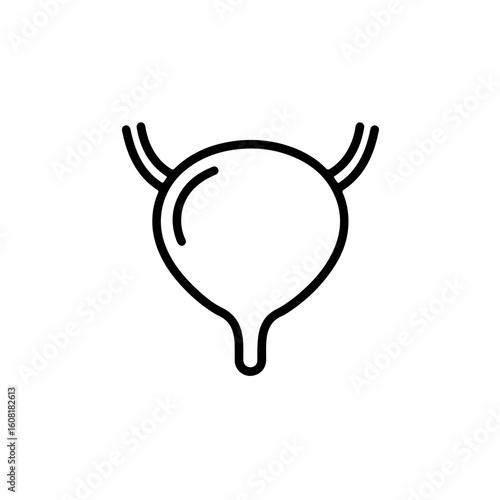 Simple Black Outline Illustration of a Human Urinary Bladder