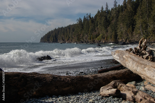 Waves breaking on the Pacific Northwest Coast