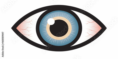 Stylized Human Eye Vector Illustration