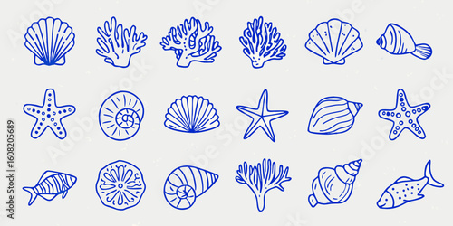 set of hand drawn sea shells