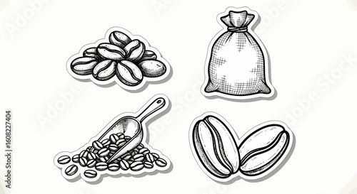 Coffee beans art sketch black vector with scoops, sack, and cherry clusters, hand drawn vector illustration elements for design and packaging
