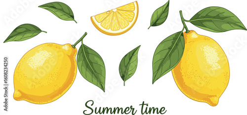 Modern abstract illustration lemons with leaves. Modern art print