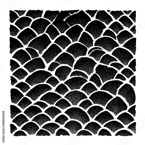 Illustration of a dense pattern of overlapping black scales with white outlines and stippled texture