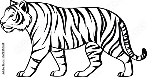 Tiger Line Art Vector – Black and White Wildlife Illustration
