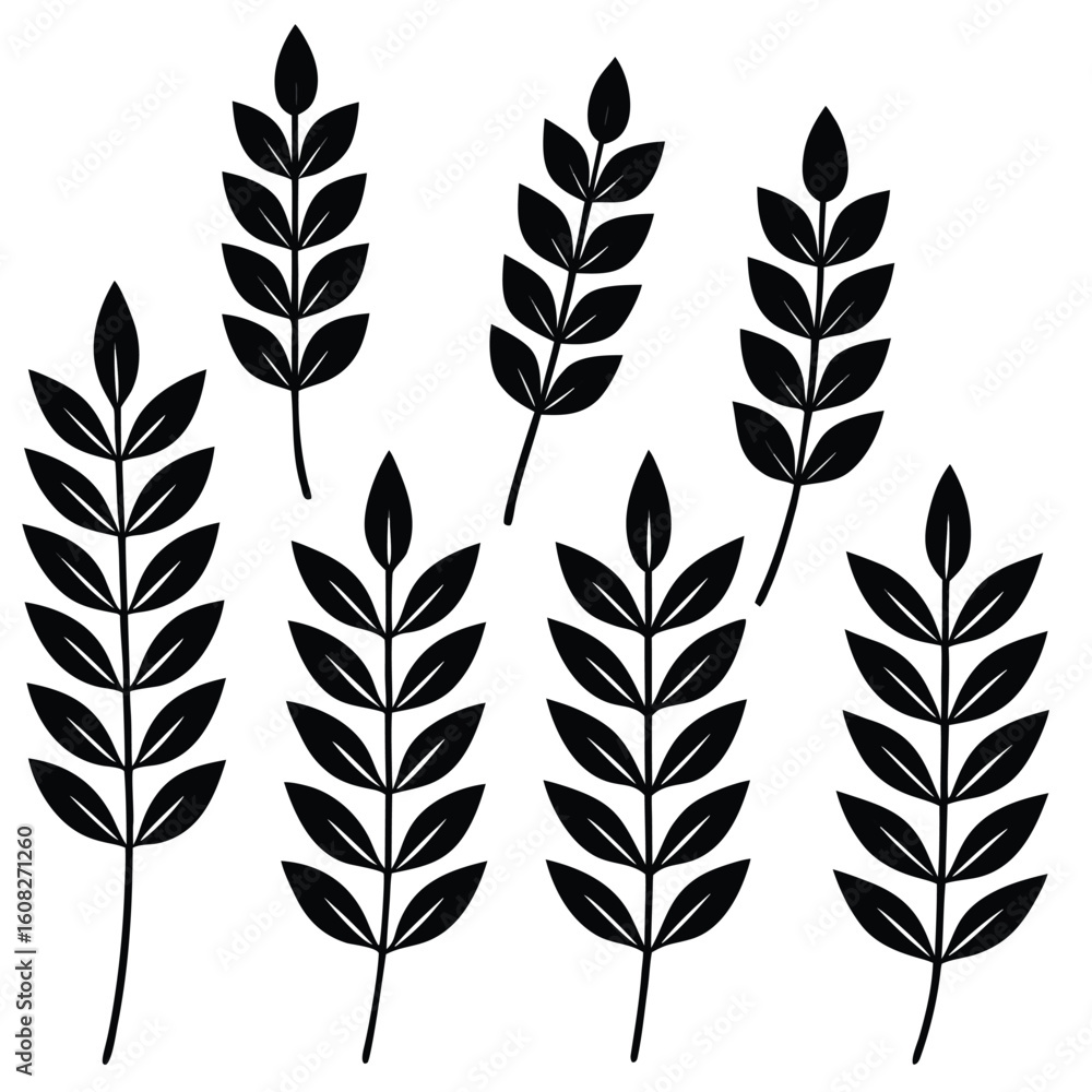 Obraz premium Black Leafy Branches on White Background plant nature