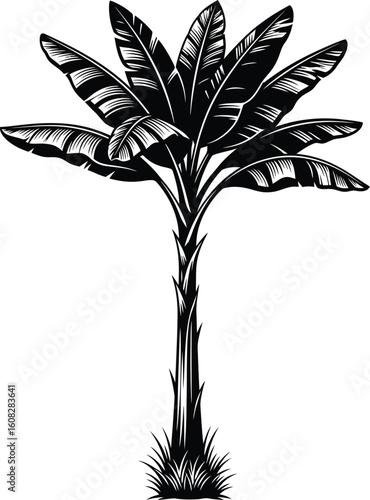 Stylized black and white illustration of a lush banana tree with large leaves and a textured trunk